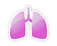 呼吸器科の画像