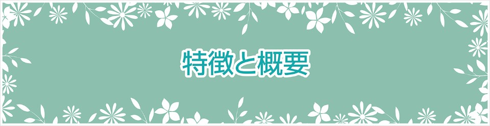 特徴と概要