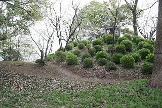 茶筅塚古墳のようす