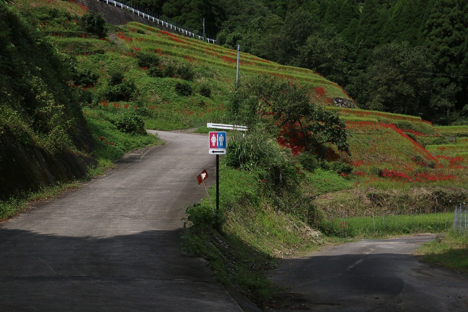 江里山農村広場行き方2