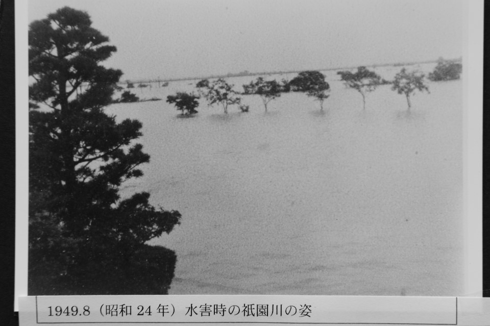 1949（昭和24）年8月　水害時の祇園川の姿