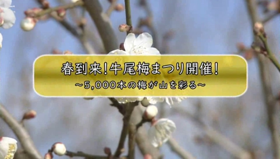 小城市だより平成31年2月号