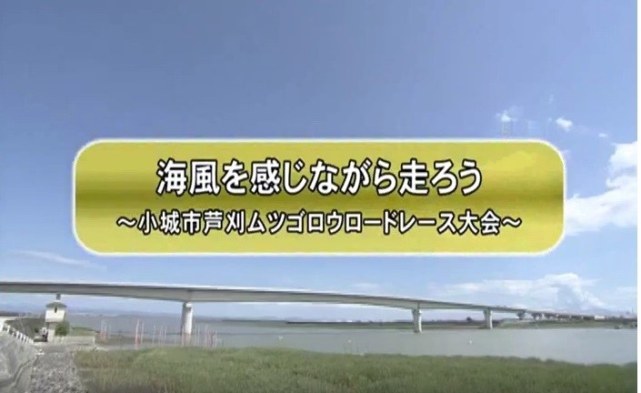 小城市だより8月