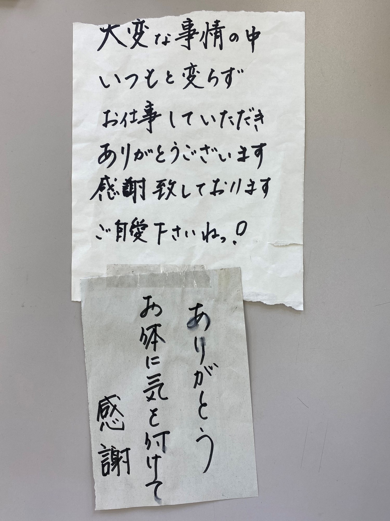 小城市 ごみ収集場所で素敵な贈り物をいただきました 6月8日更新