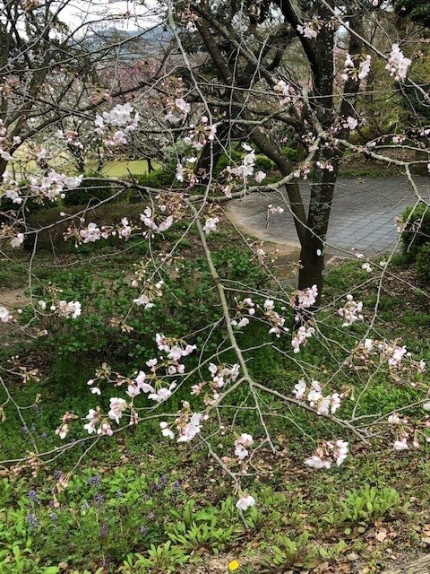 2020.03.22小城公園