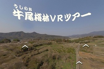 牛尾梅林VRツアー