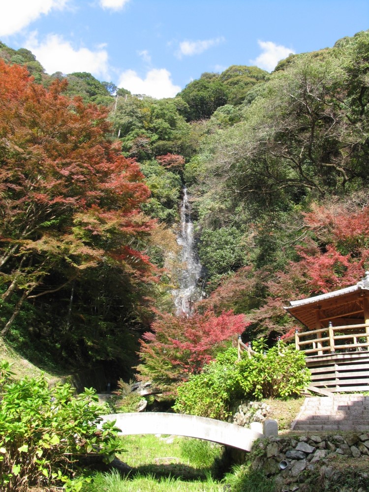 秋には紅葉が咲き誇り、異なる印象を与えます