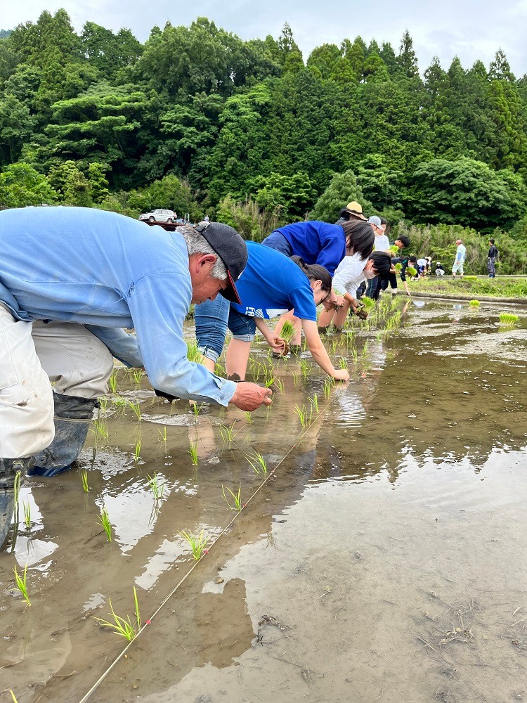 R5田植え