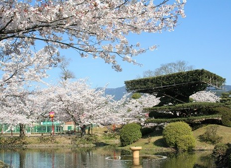 小城公園写真