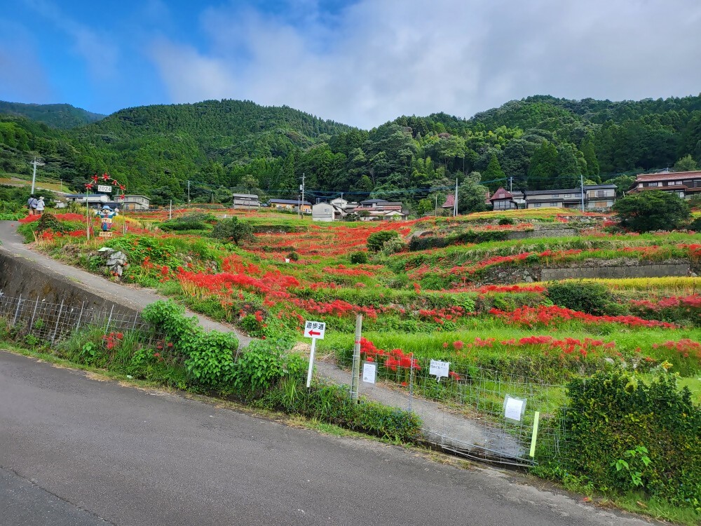 鑑賞広場北