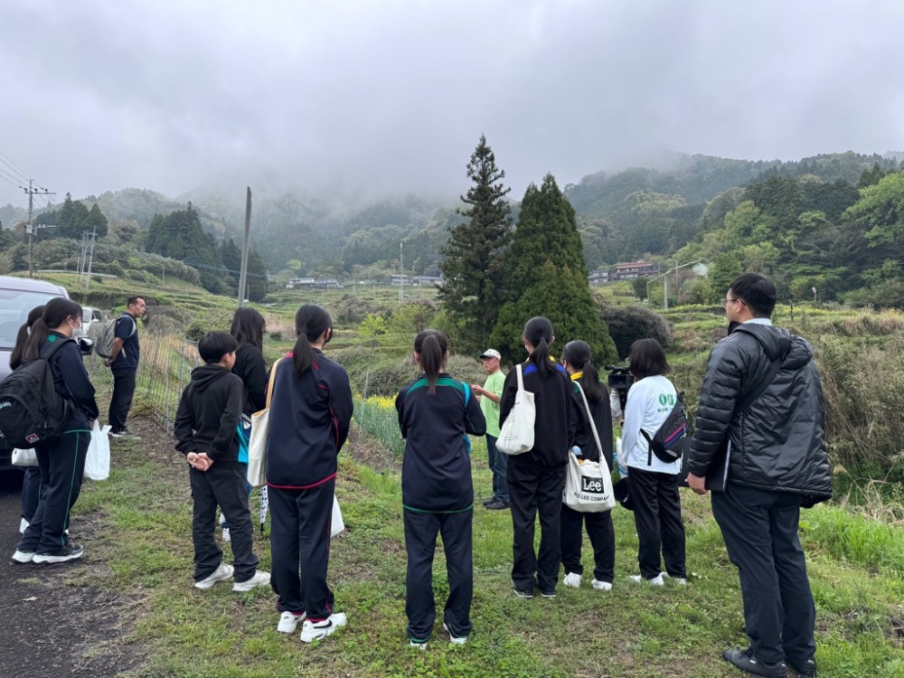 たなだ田の説明