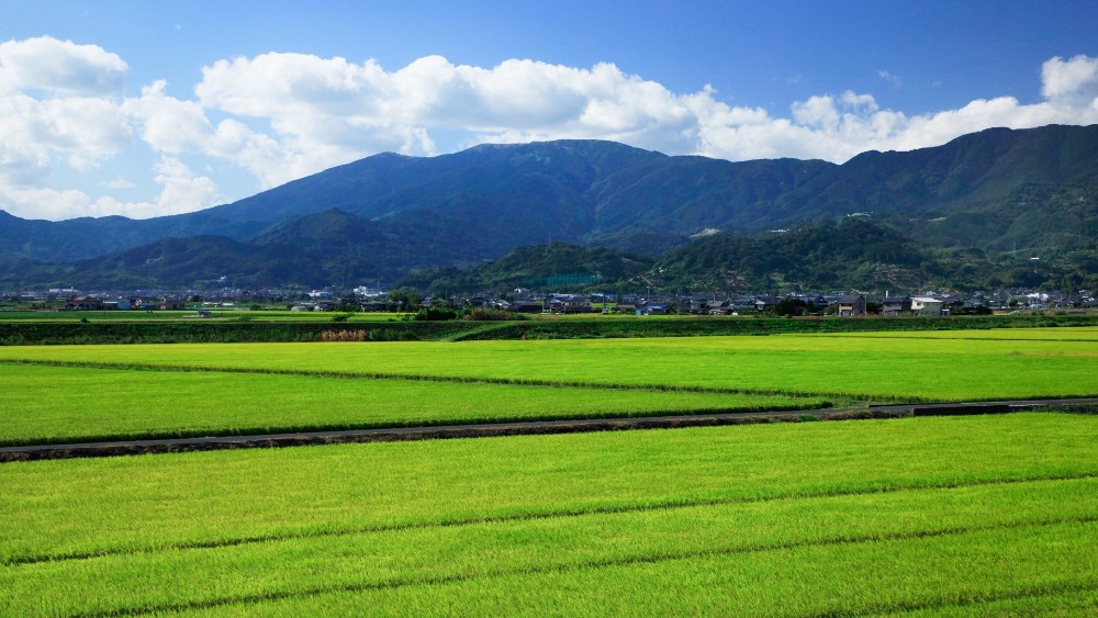 天山の写真
