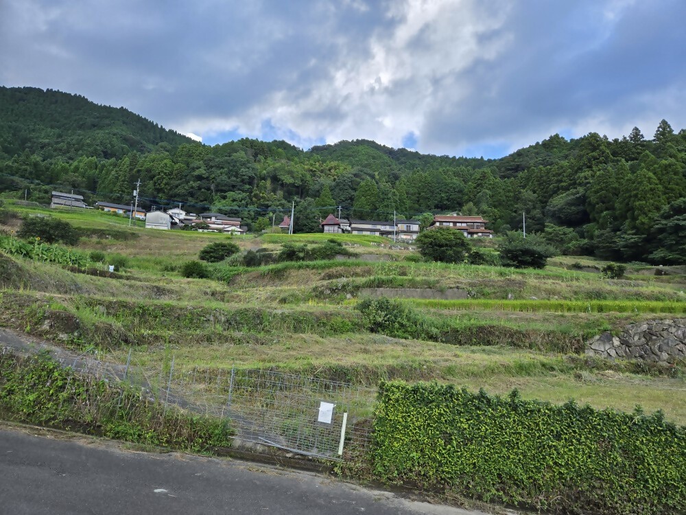 令和7年9月16日撮影の鑑賞広場周辺