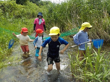 子どものための教育・保育給付事業