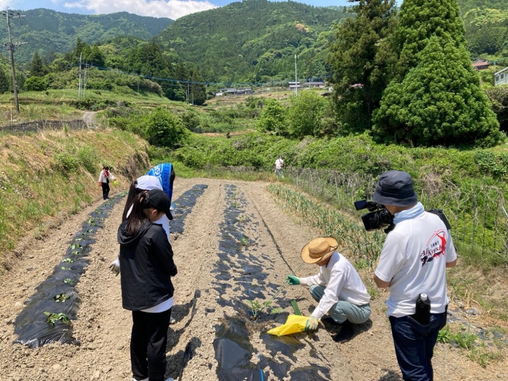 作業の様子