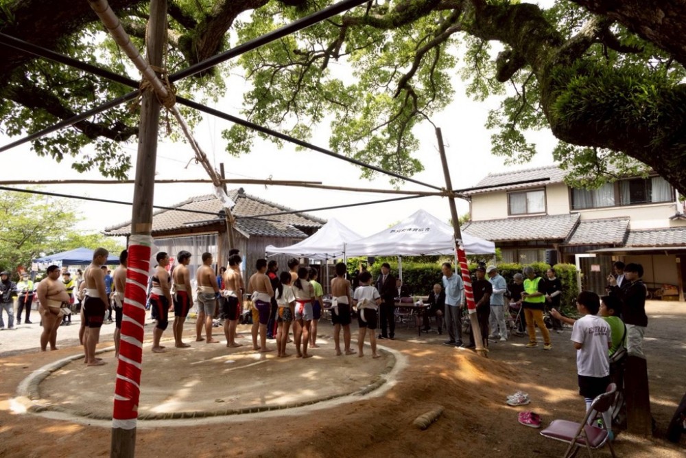 写真_第33回奉納子ども相撲大会