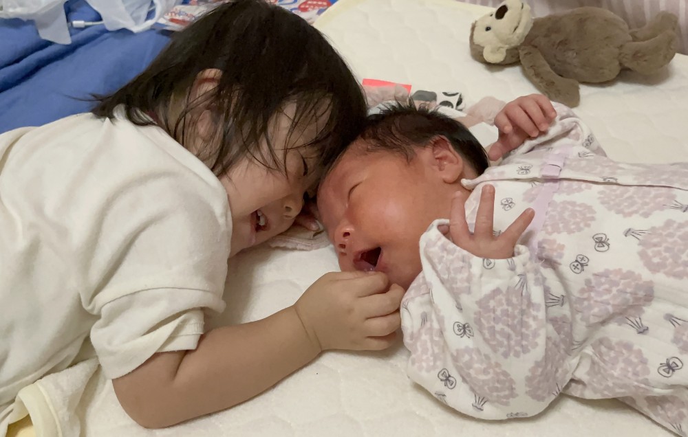 きょうだい愛