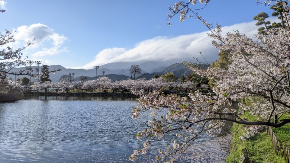 小城公園管理事業
