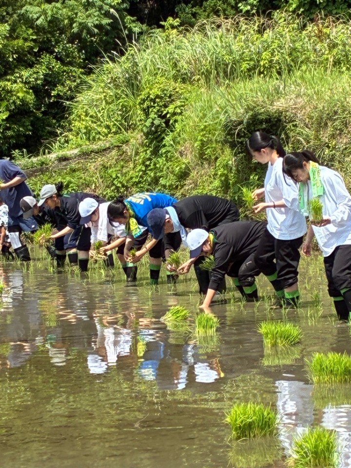 たなだ部