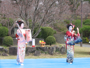 春雨まつり公園で踊る写真