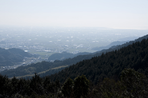 展望台からの眺め