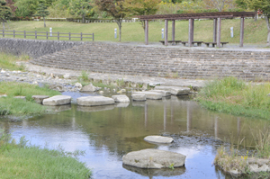 牛津河畔公園写真