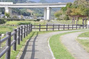 遊歩道整備写真