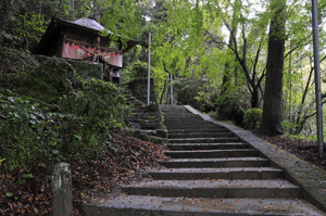 幻想的な参道のようす