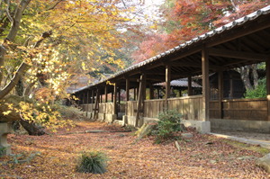 紅葉に包まれた回廊風景